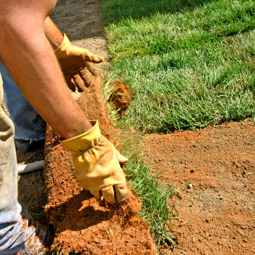 Landscaping Services